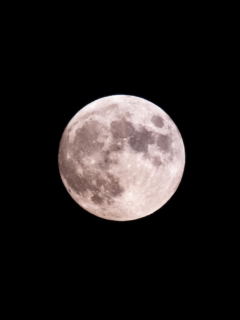 가장자리에 분화구가 있는 전체 단계의 큰 달의 근접 촬영