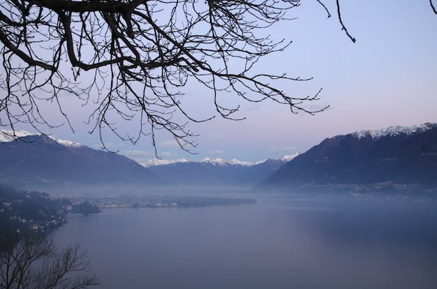 Closeup of branches against a hazy breathtaking scene in alps