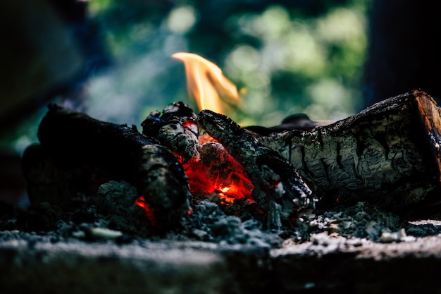Closeup of burning logs indoors