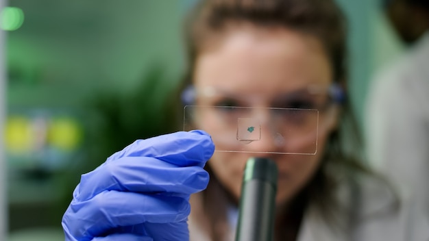 closeup of chemist scientist looking at green leaf sample checking genetic mutation