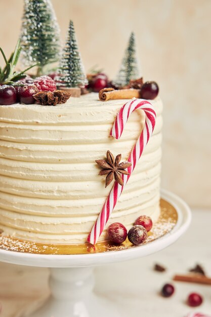 Closeup of a Christmas cake with anise and berries