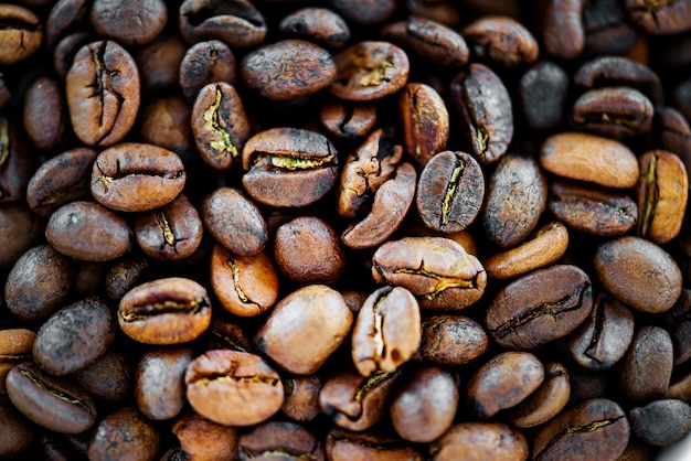 Primo piano del chicco di caffè