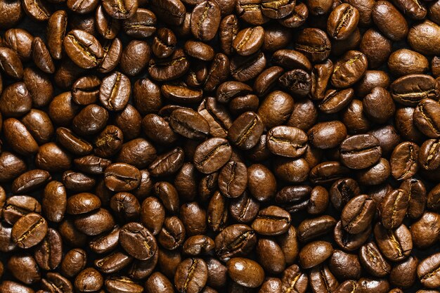 Closeup of coffee beans