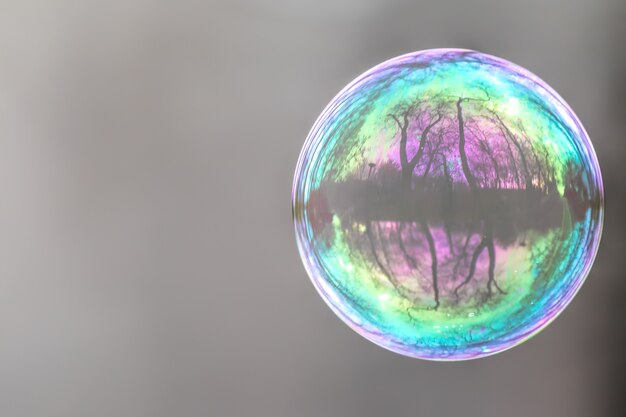 Closeup of a colorful bubble with a beautiful reflection of trees on it