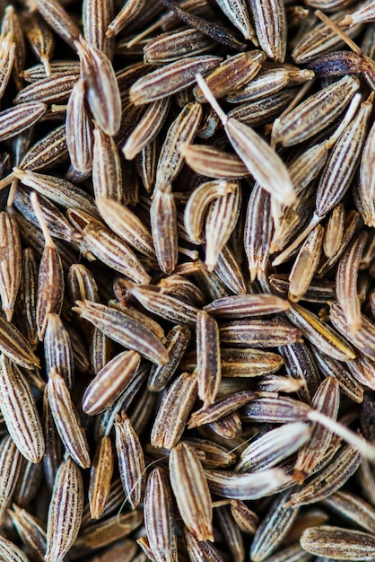 Closeup of cumin seed