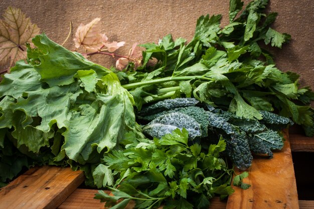 Closeup of edible plants on a wooden table under the lights