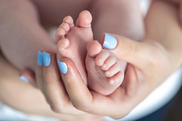 Free photo closeup the feet of a newborn in the hands of the mother