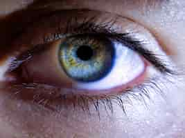 Free photo closeup of a female human's deep eyes