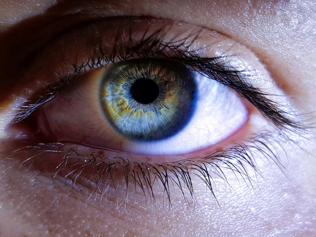 Closeup of a female human's deep eyes