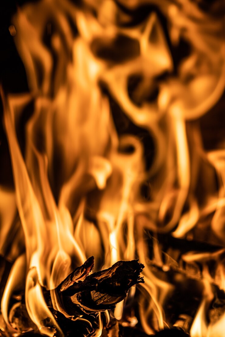 Free Photo closeup of fire flames with burning firewood