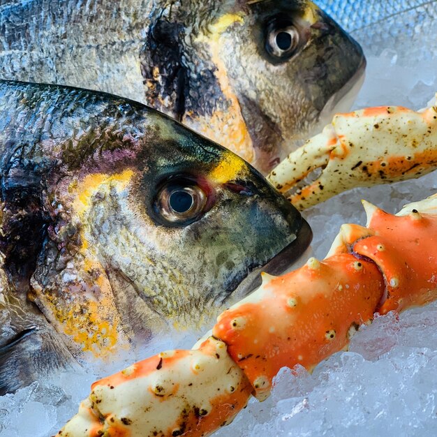 Closeup of fish near crab legs on the ice