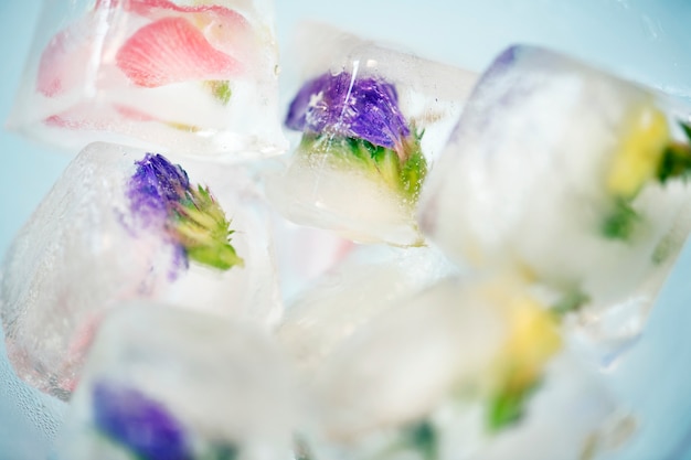 Крупным планом цветы льда куб