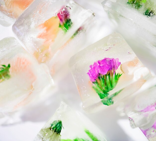 Closeup of flowers ice cube