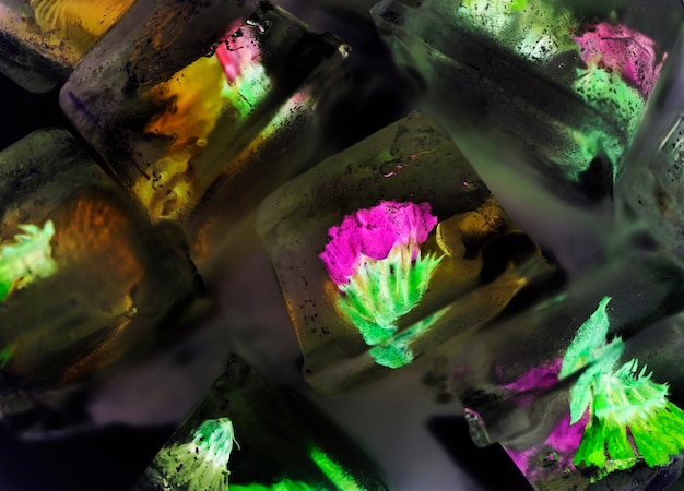 Closeup of flowers inside ice cubes in negative effect