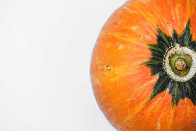 Closeup of fresh pumpkin on white background