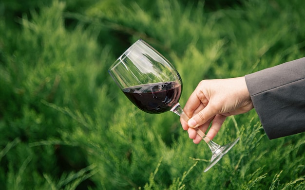 Крупным планом бокал красного вина на фоне зеленых кустов