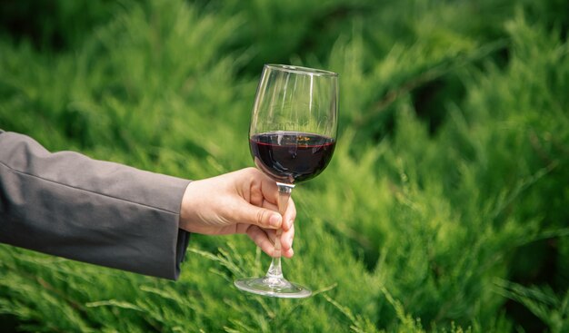 Closeup a glass of red wine against the background of green bushes