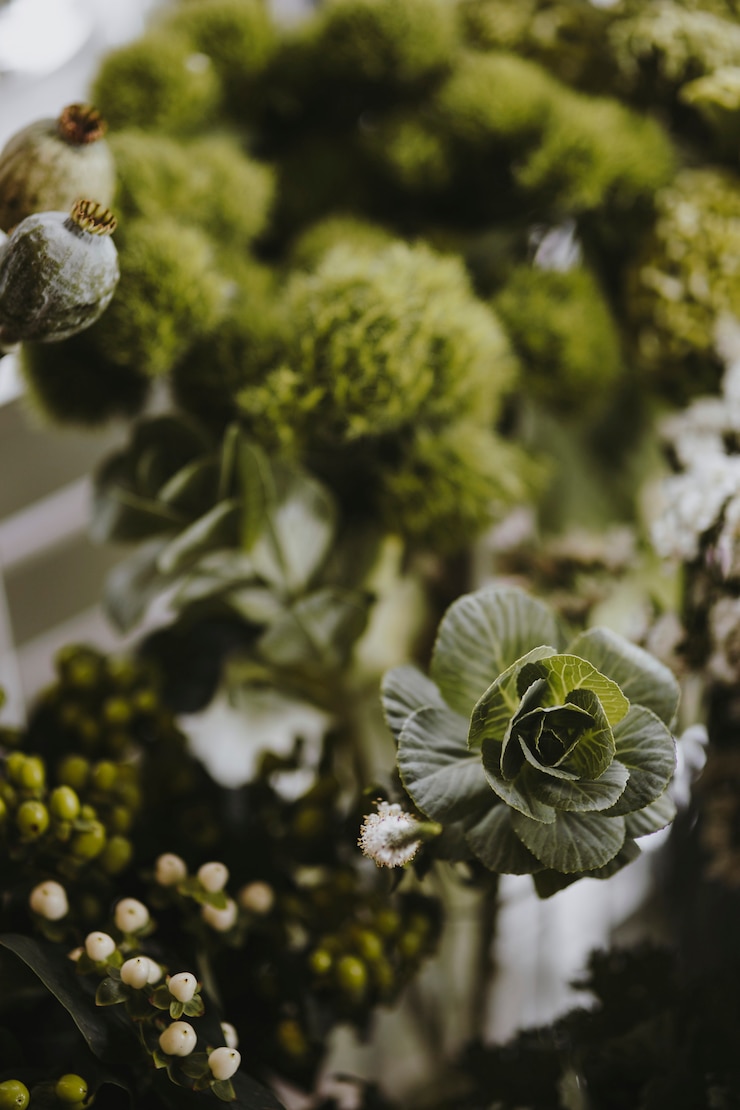 Free Photo closeup of green ball dianthus