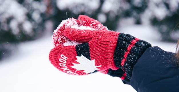 Closeup of hands in red canada mittens make a snowball from the snow
