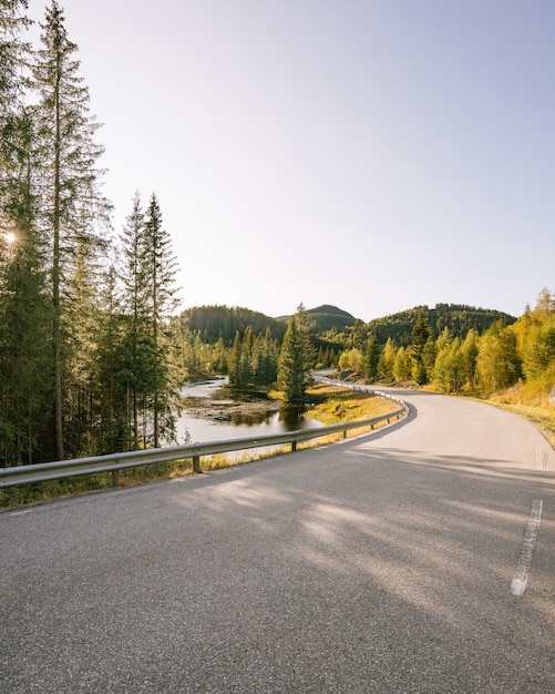 Free photo closeup of a highway in hjartdal, norway