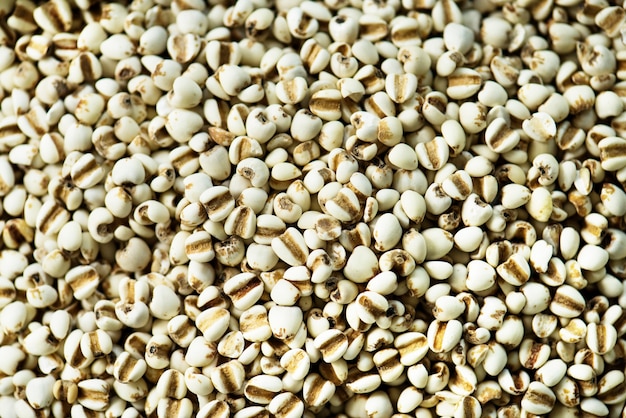 Free photo closeup of jobstears legumes textured