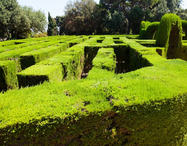 Closeup of Labyrinth at Parc del Laberint