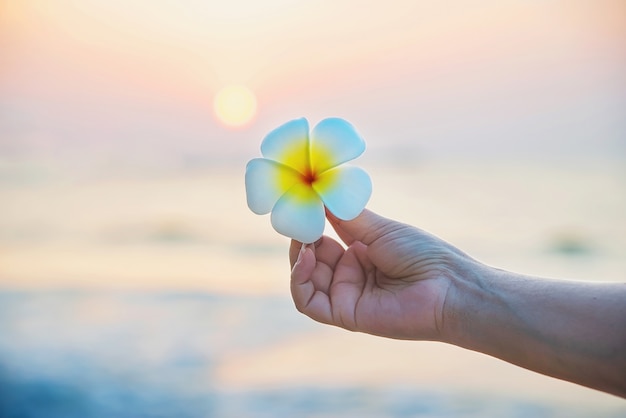 女性のクローズアップは砂浜にプルメリアの花を維持しています