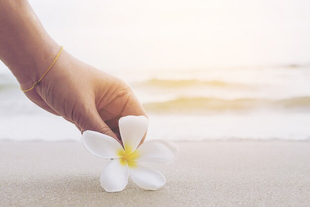 Крупным планом леди держит цветок plumeria на песчаном пляже