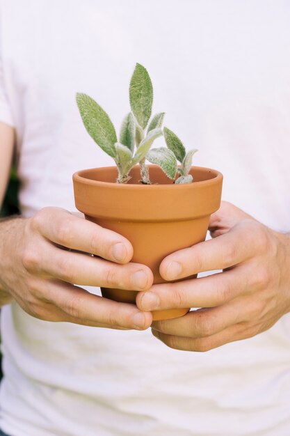 緑の植物を持つ男のクローズアップ