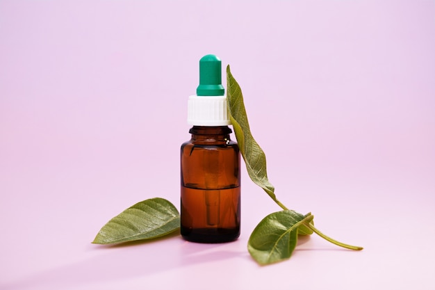 Крупный план экстрактов лекарственных листьев в бутылке с лекарством на розовом фоне