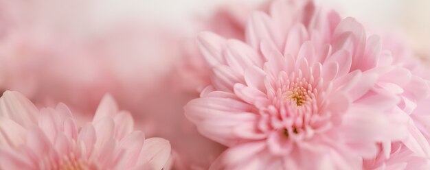 花の背景 写真 140 000 高画質の無料ストックフォト
