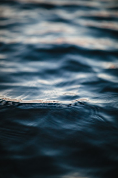 Foto del primo piano di acqua calma del corpo