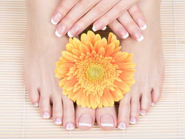 Free photo closeup photo of a female feet at spa salon on pedicure and manicure procedure - soft focus image