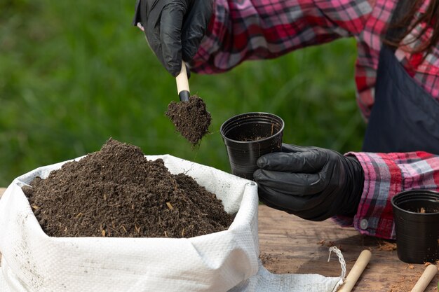 Closeup picture of  Gardener's Hands Planting Plant