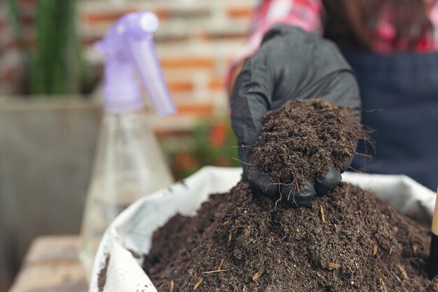 庭師の手植栽植物のクローズアップ画像