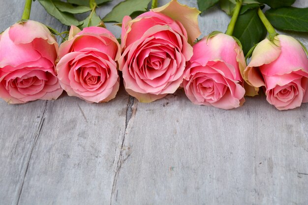 Closeup picture of pink velvet roses on a wooden surface