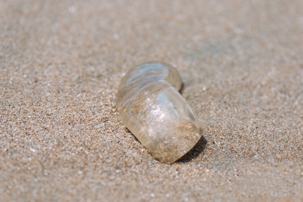Макрофотография на кусок медузы тела с пляжем песчаный фон