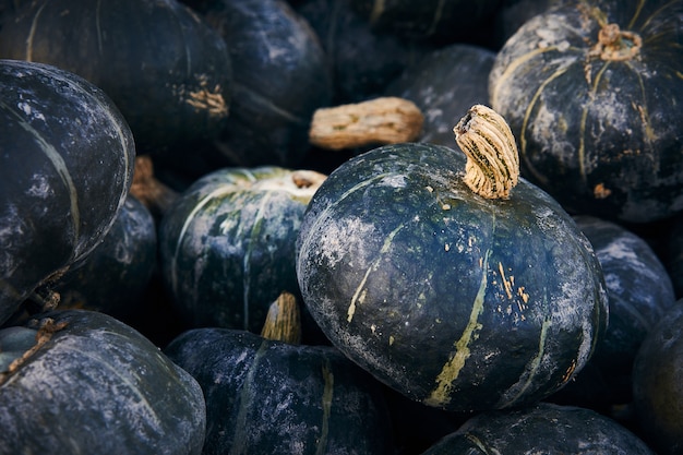 Primo piano di un mucchio di zucca ranuncolo