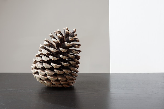 Closeup of a pinecone on the table