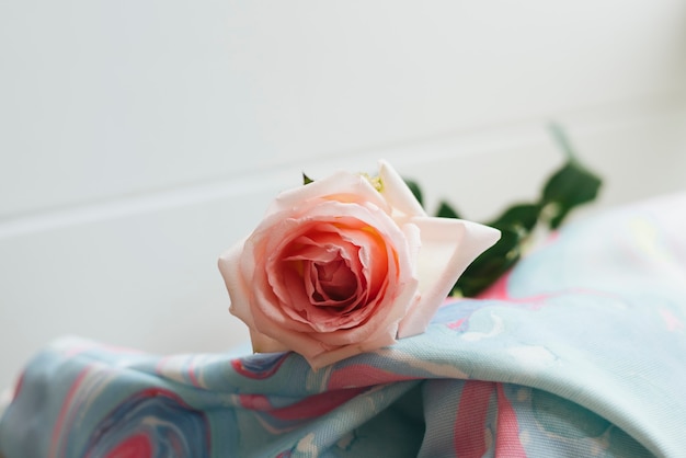毛布の上のピンクのバラのクローズアップ