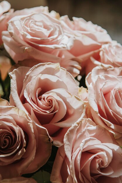 Closeup of a pink rose bouquet