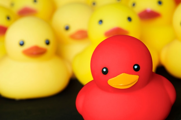 Closeup of rubber duckies