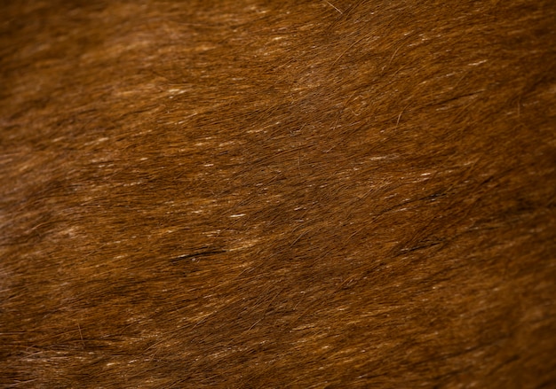 Long Thick Brown Fur Seamless Background Stock Illustration 1169871151