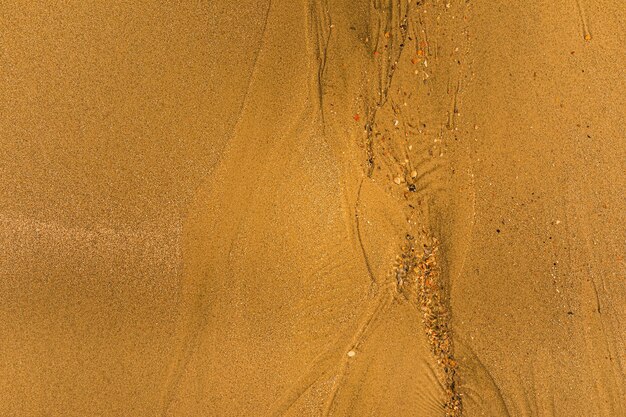 Closeup of sand with tidal ways and shells on the beach full frame texture background