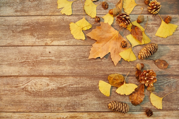 Closeup shot of autumn leaves and conifer cones on wooden background