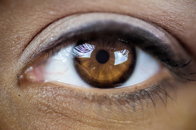 Closeup shot of a beautiful brown eye