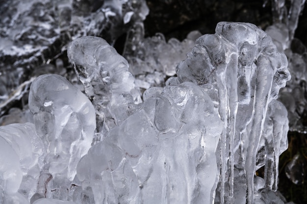 Foto gratuita colpo del primo piano di bellissimi ghiaccioli sugli alberi
