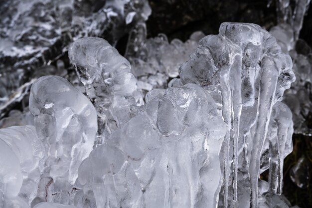 Closeup shot of beautiful icicles on the trees