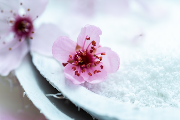 자작 나무 설탕으로 가득한 하얀 접시에 아름다운 분홍색 꽃의 근접 촬영 샷