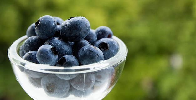 Closeup shot of blueberries in a glass bowl